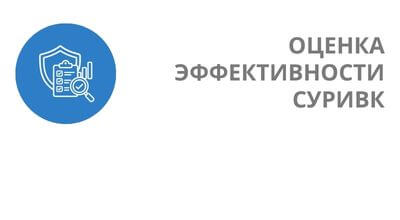 Услуга Оценка эффективности системы управления рисками и внутреннего контроля