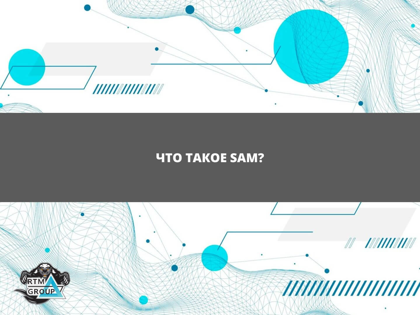 Что такое SAM?